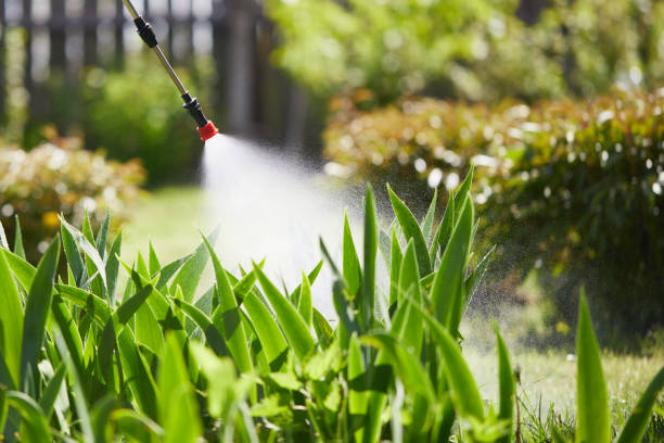 24/7 Emergency Fumigation Services experts in Green Bay, WI