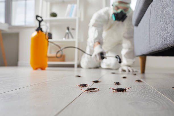 Trusted Fumigation Services service in Green Bay, WI - Nex Pest Control